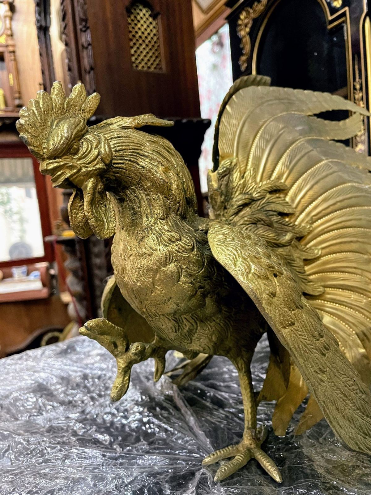 Đôi gà đồng – ảnh 2