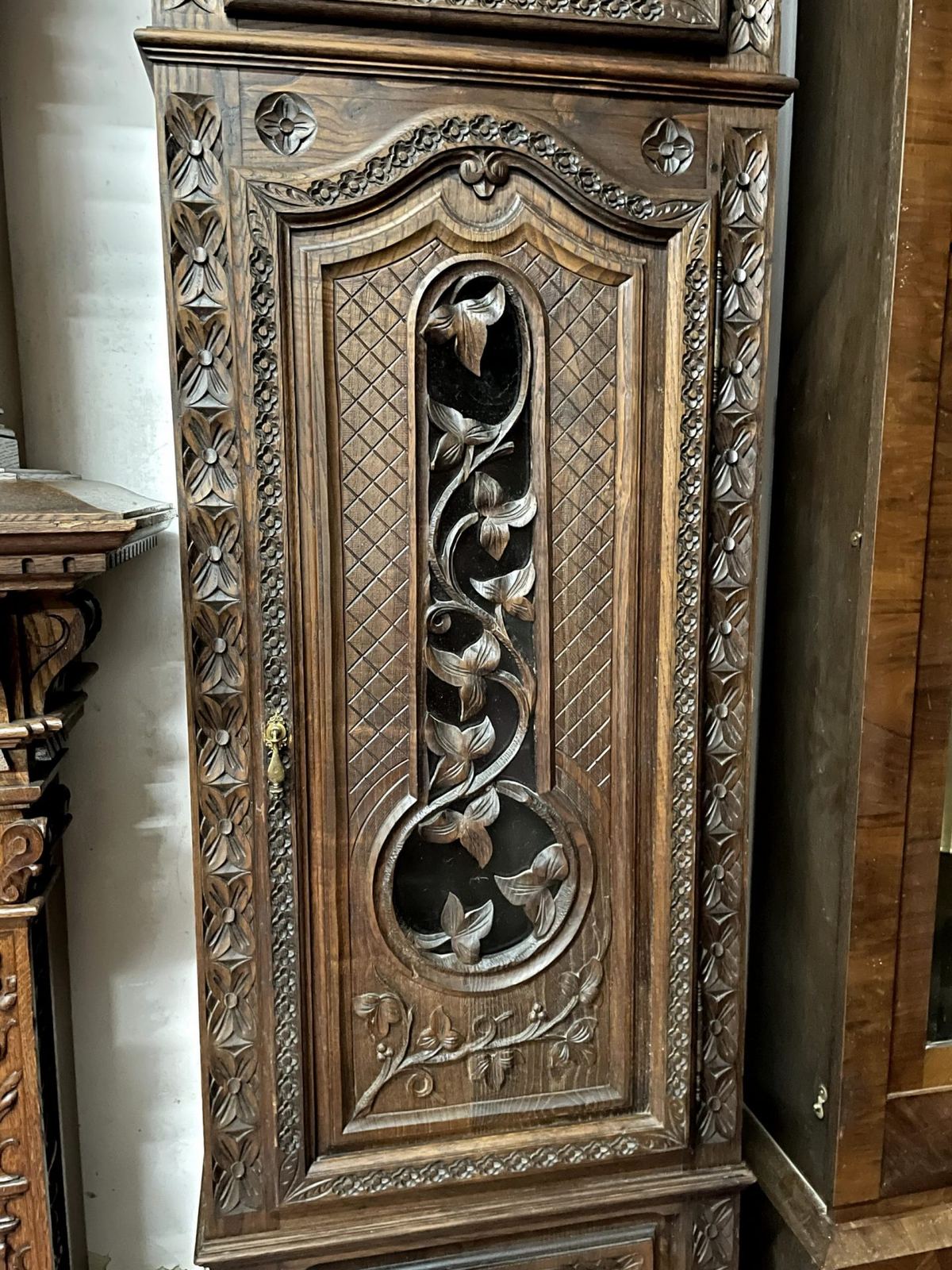 Vỏ đồng hồ cây – ảnh 3