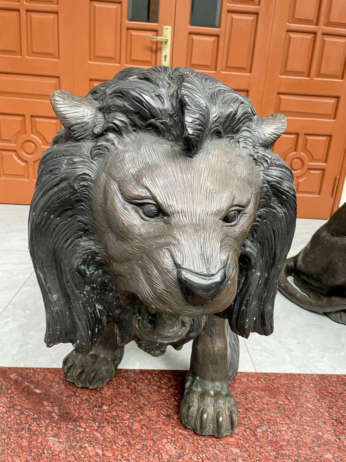 Cặp sư tử đồng đúc Pháp – ảnh 7