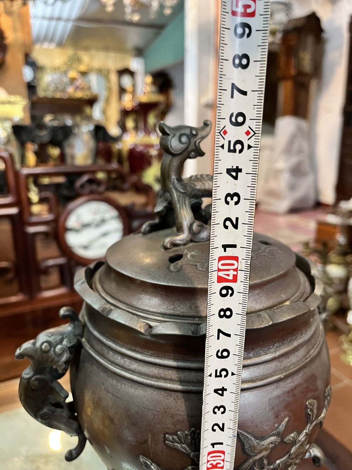 Đỉnh đồng Nhật – ảnh 7
