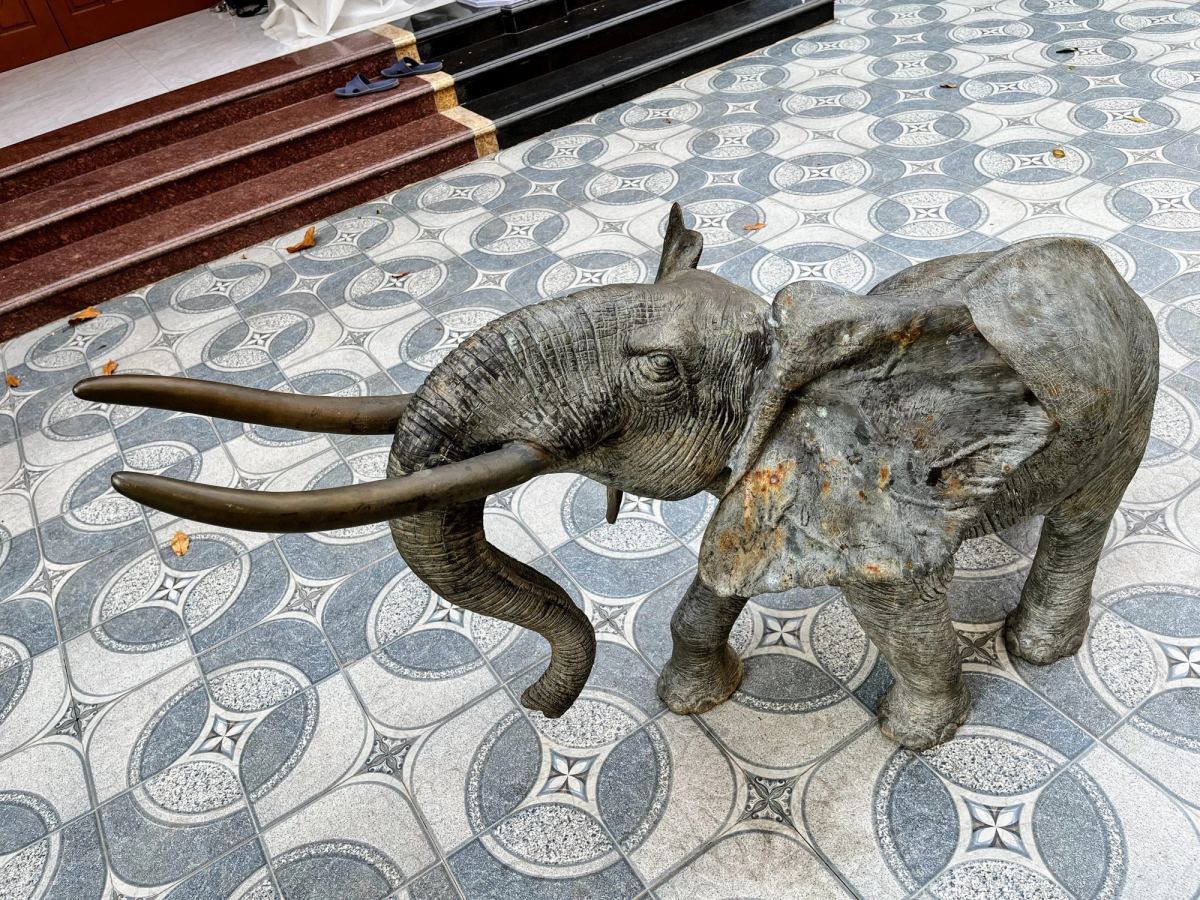 Cặp voi đồng Anh – ảnh 5