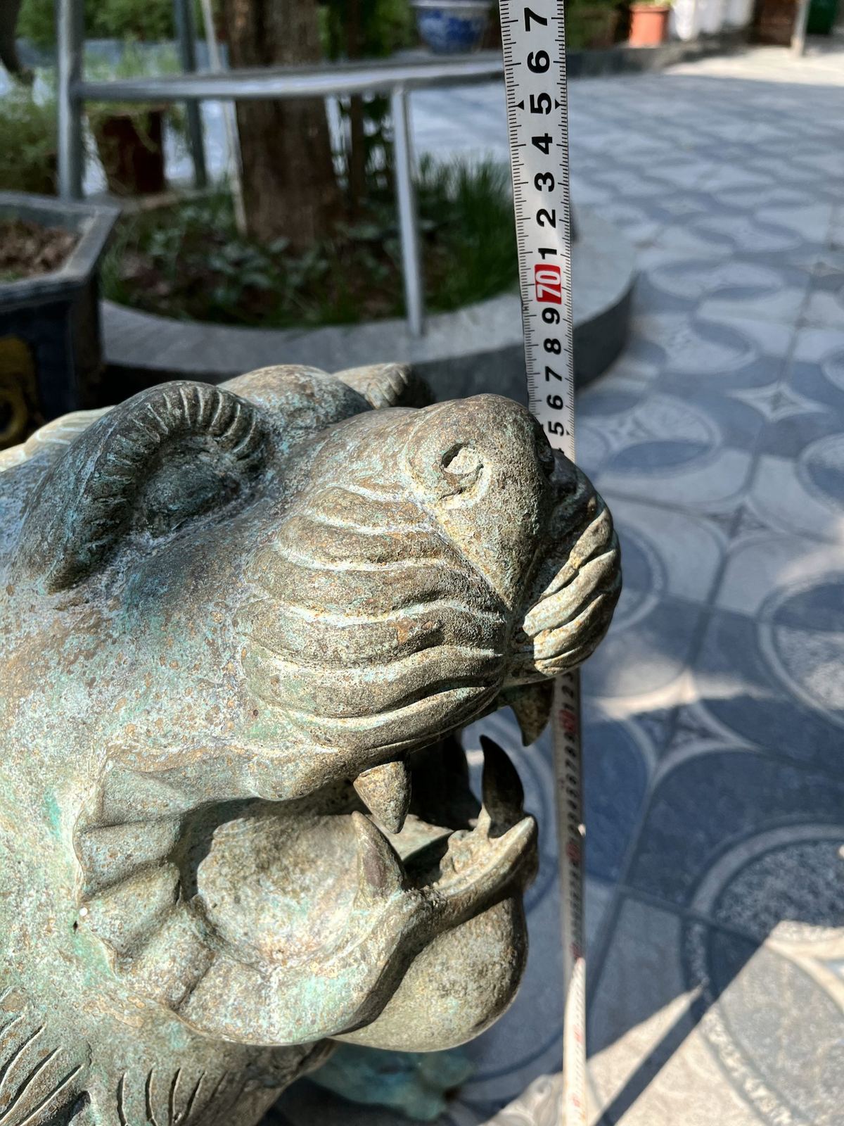 Tượng sư tử đồng – ảnh 6