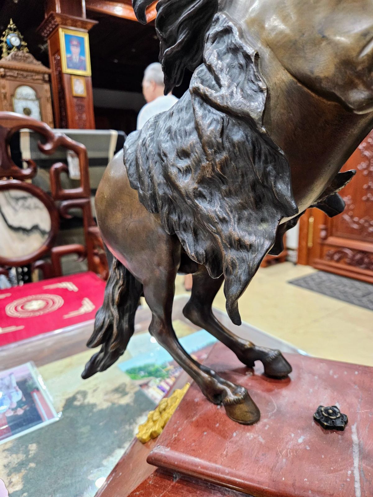 Ngựa Marly – ảnh 9