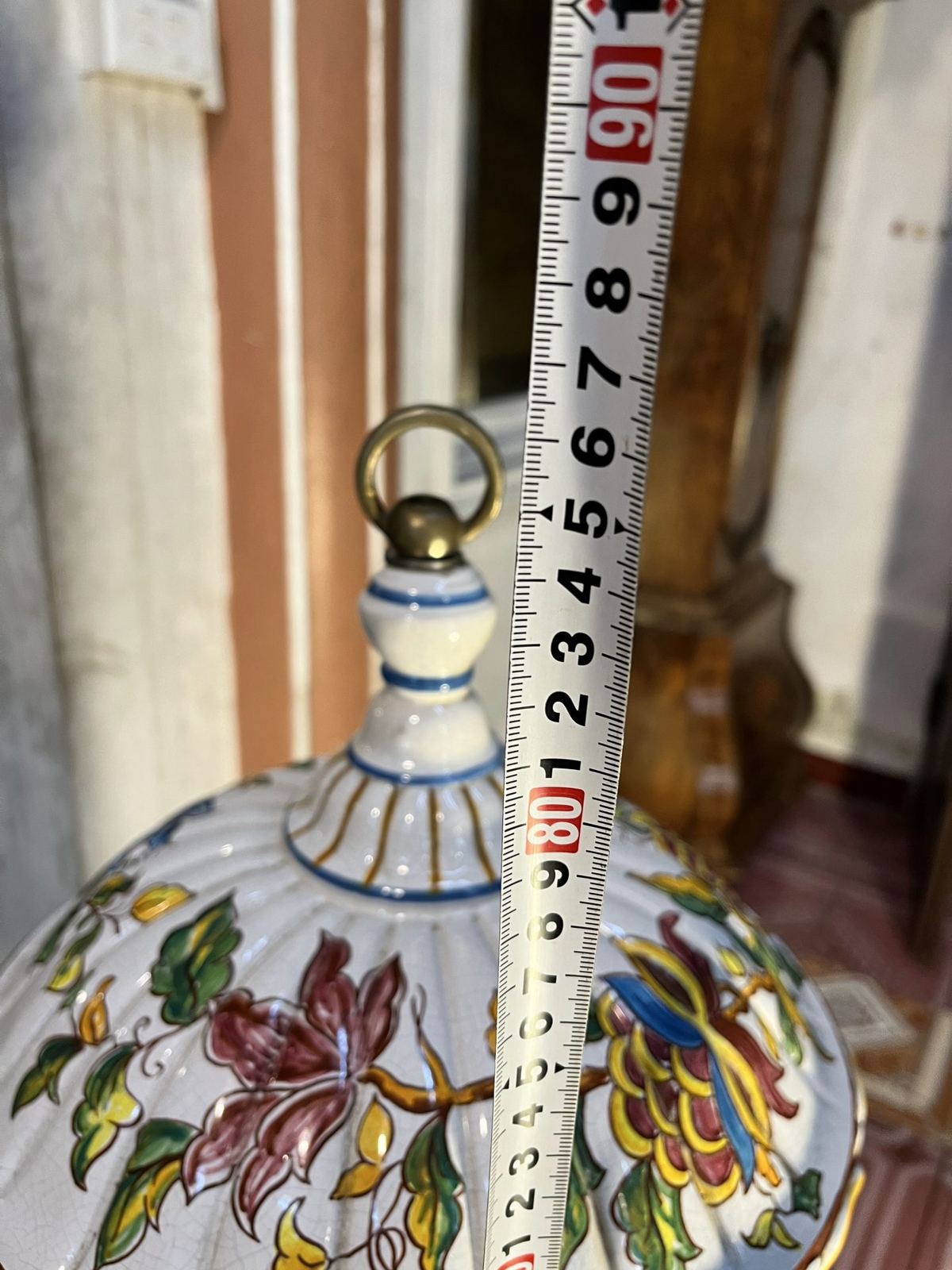 Lồng chim – ảnh 6