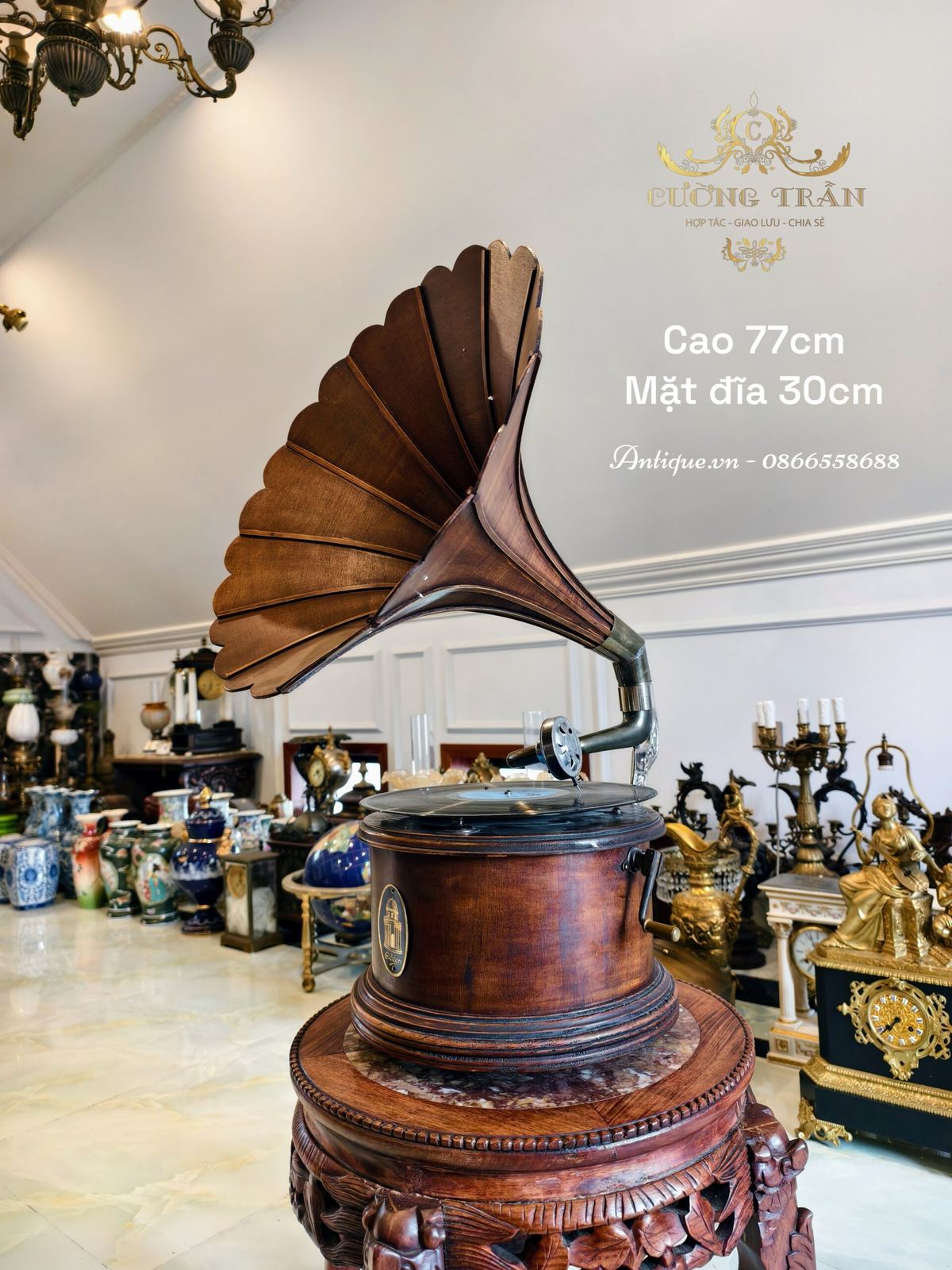 Máy hát đĩa than – ảnh 1
