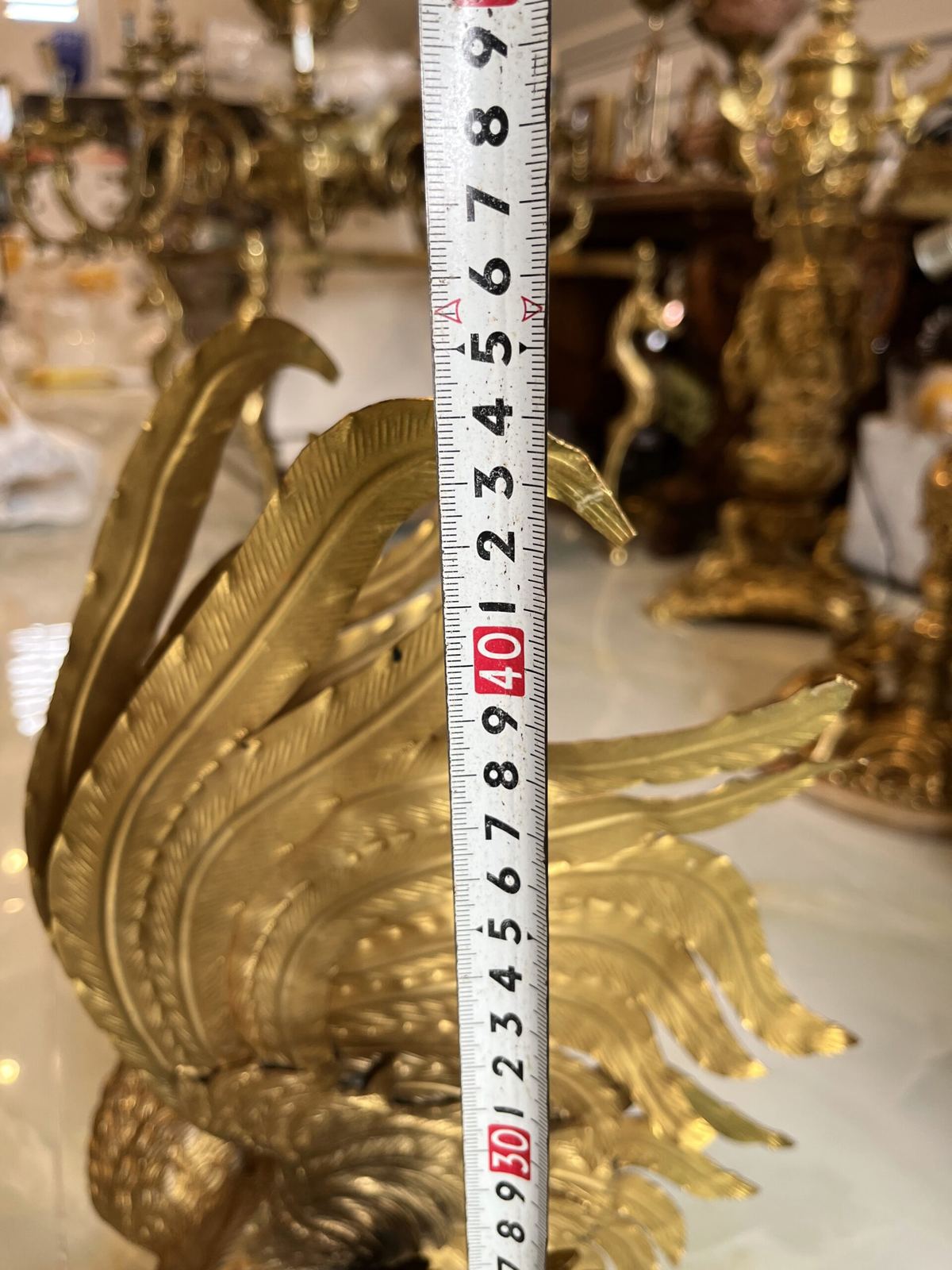 Cặp gà bằng đồng – ảnh 7