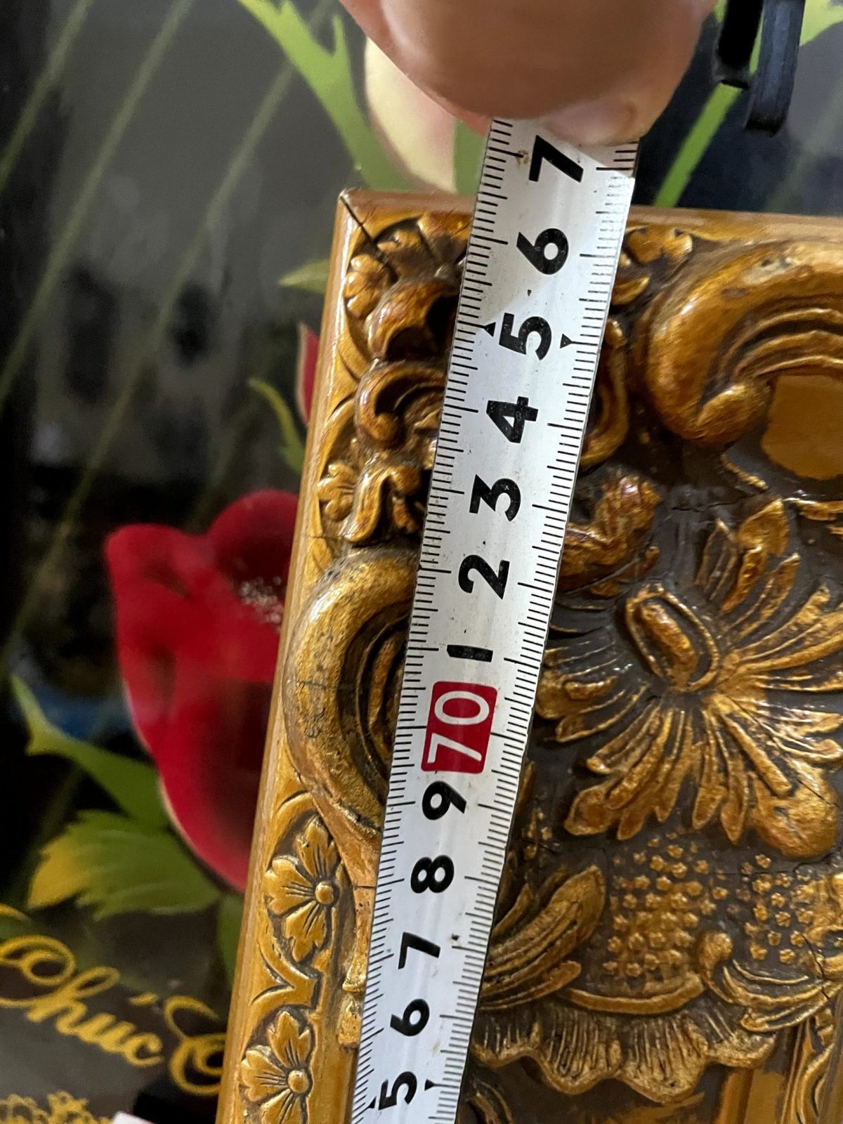 Khung cảnh ven sông – ảnh 4