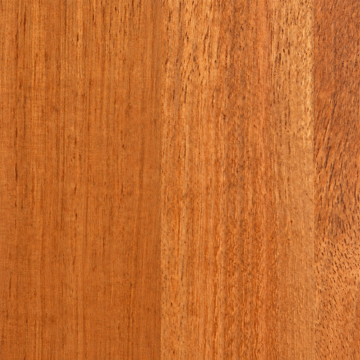 Close-up texture of WA Marri
