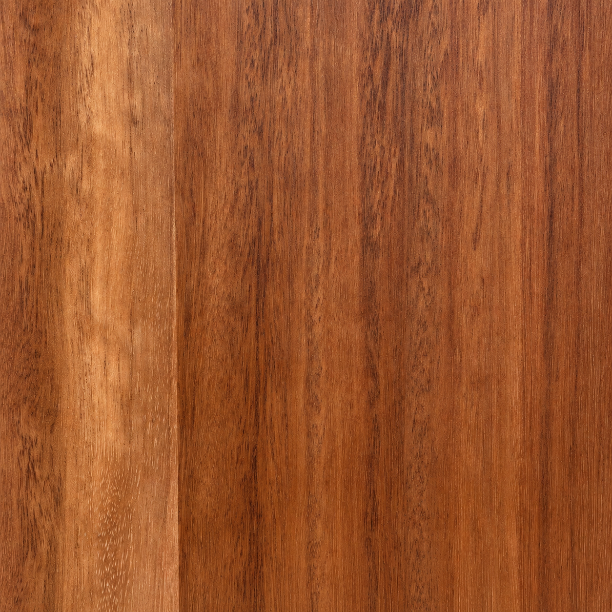 Close-up texture of Spotted Gum