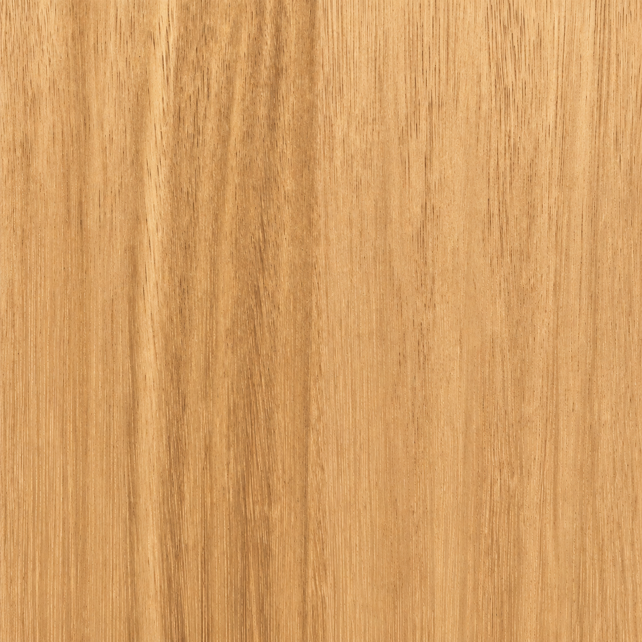 Close-up texture of Tasmanian Oak Natural