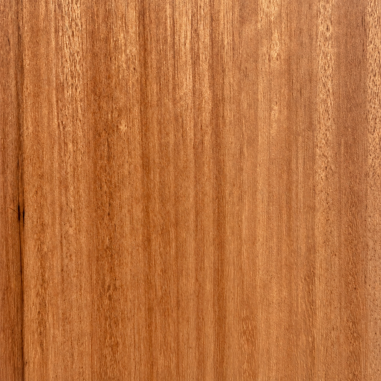 Close-up texture of Blackbutt