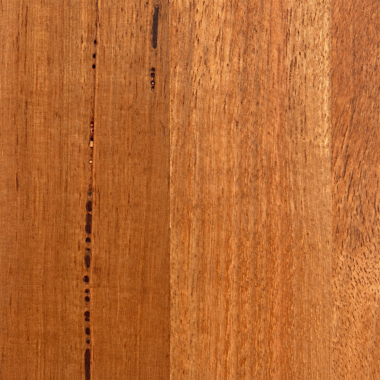 Close-up texture of WA Marri