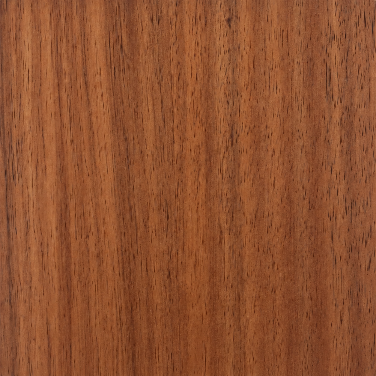 Close-up texture of Blackwood