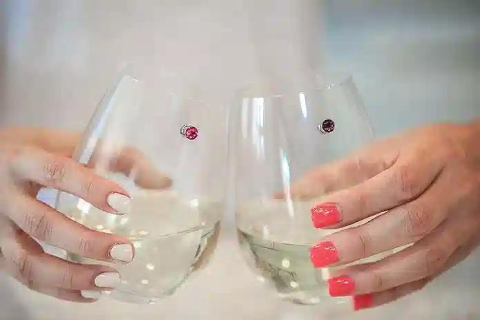 Simply Charmed Swarozski Crystal Wine Charms - Magnetic Charms for Wine Glasses