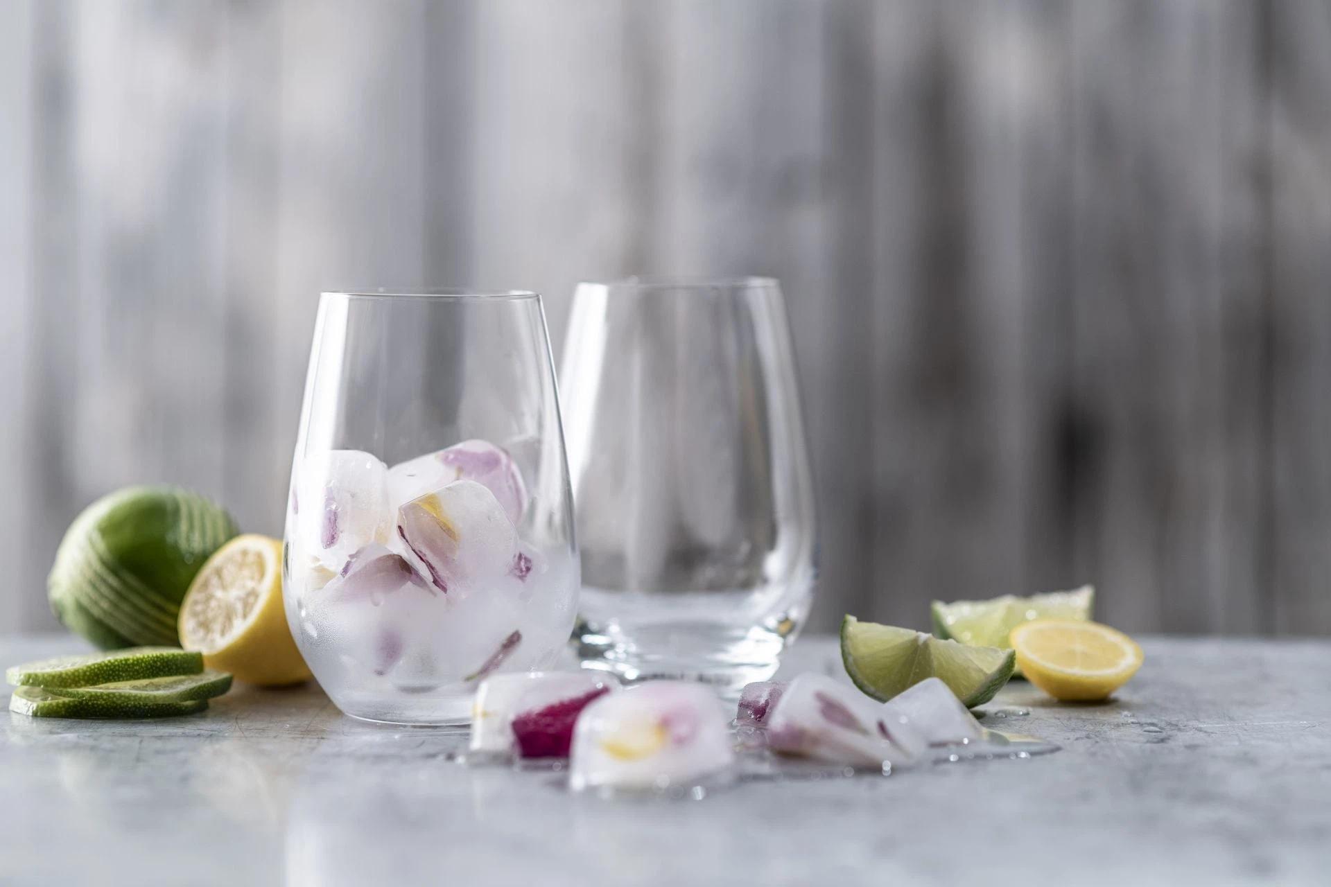 Schott Zwiesel Tritan Forte Tumbler
