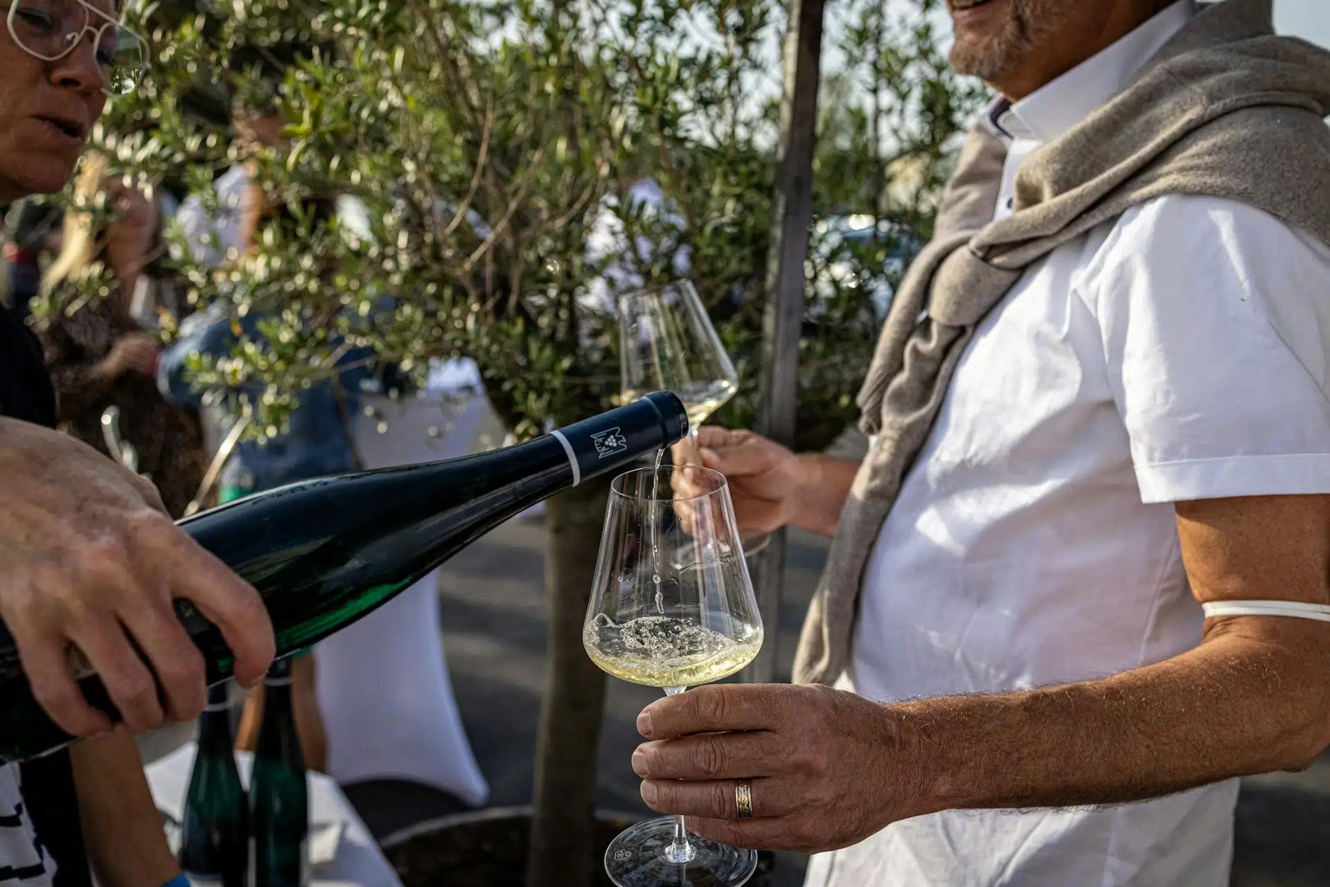 A man pouring white wine into a glass held by another man during a vineyard tour and wine tasting