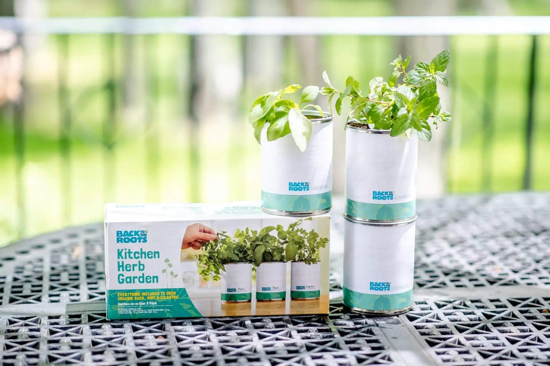 Back to the Roots Organic Kitchen Herb Garden
