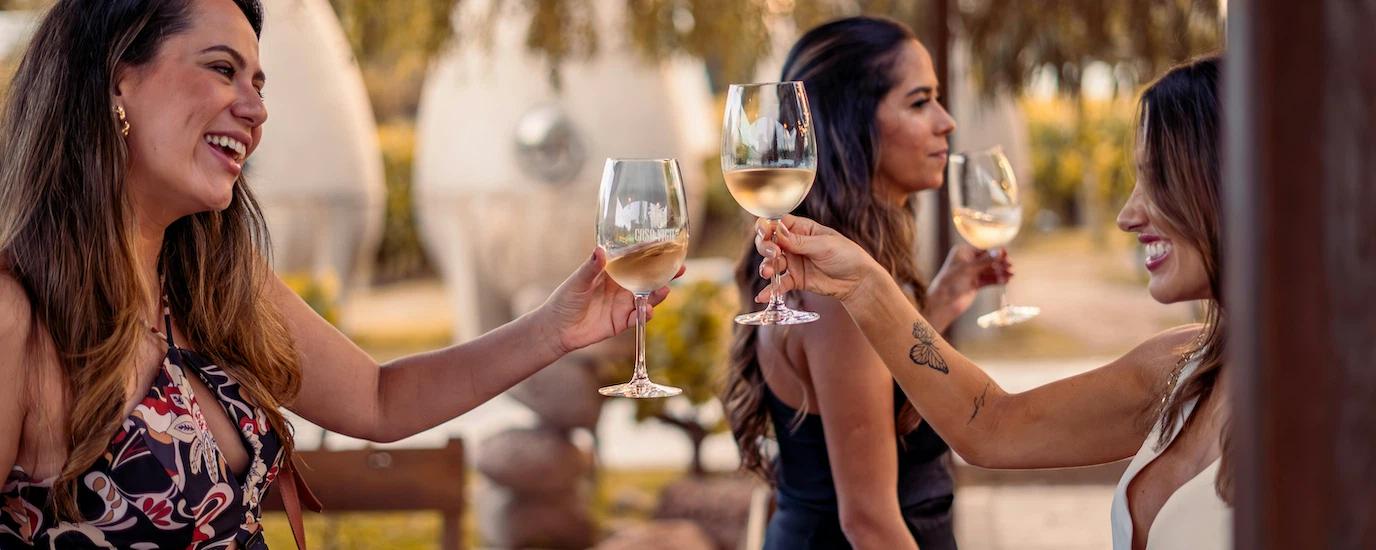 Best Plastic Wine Glasses for Outdoor & Party Use