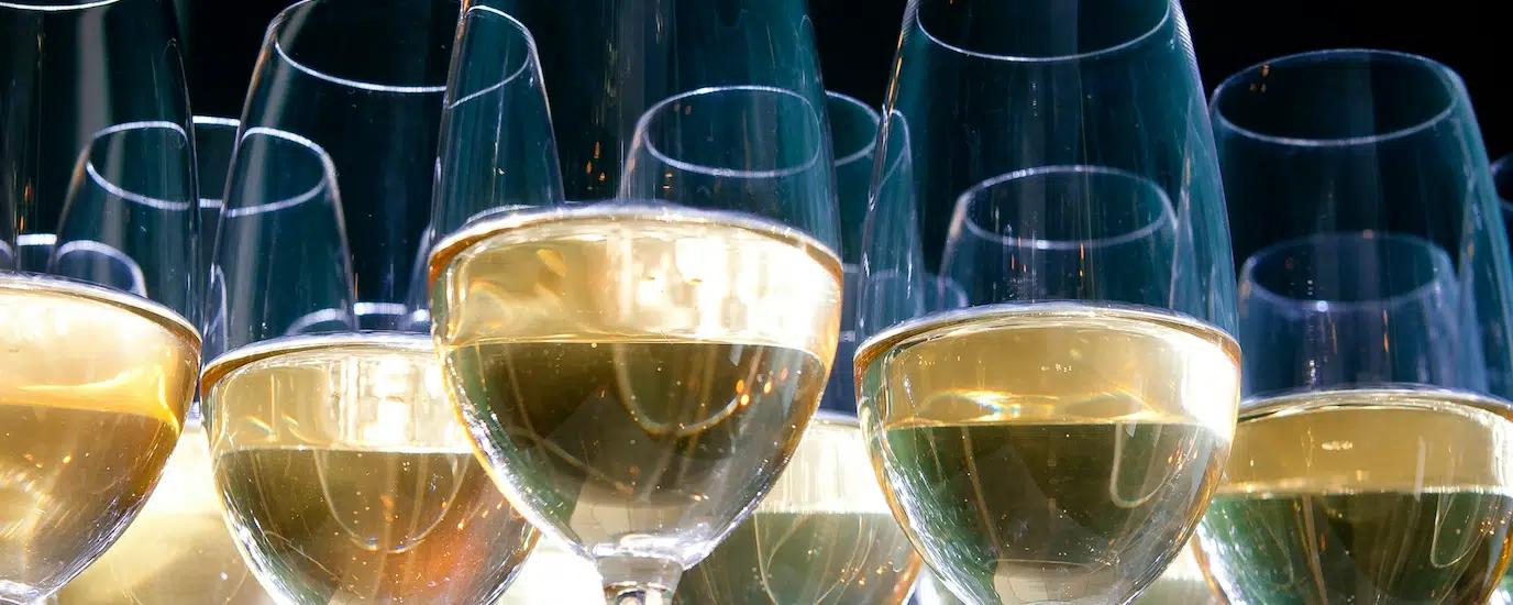 A row of wine glasses filled with white wine