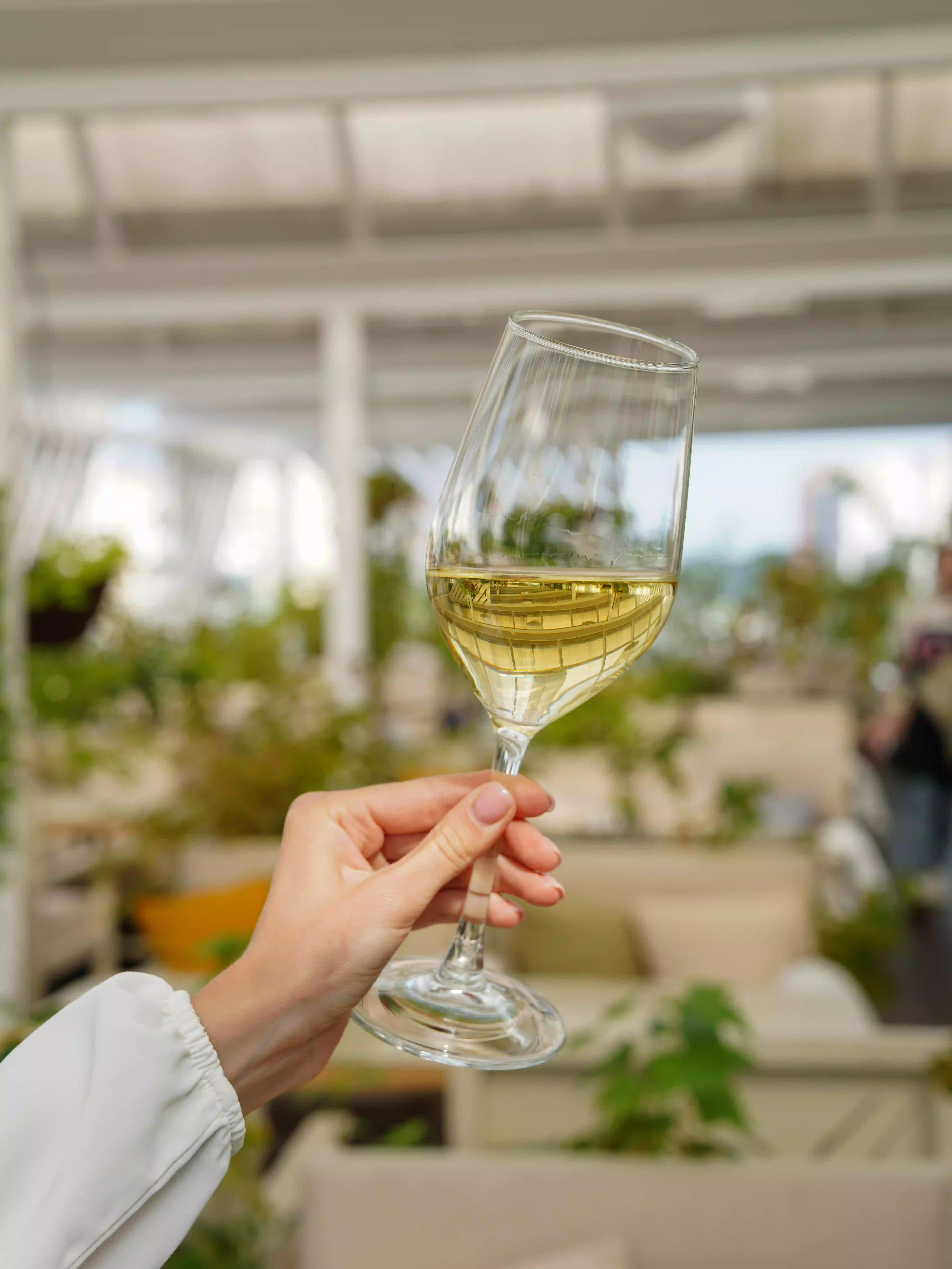 Sauvignon Blanc Glass