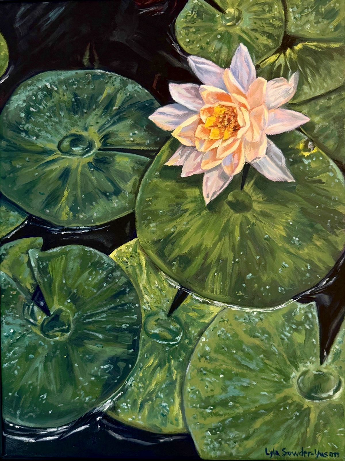 Water lilies and a single pale bloom on dark water, in oil