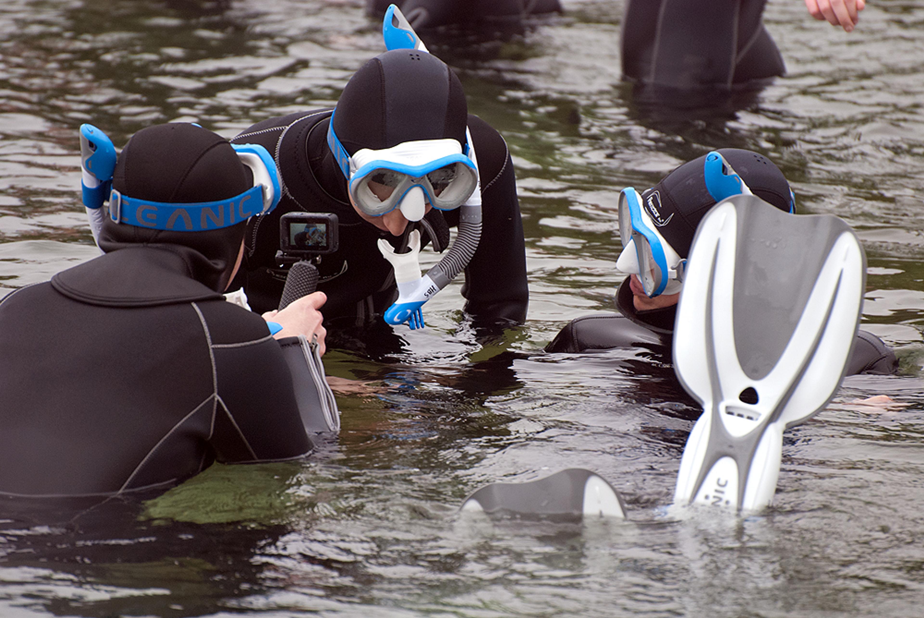 Snorkeling.City