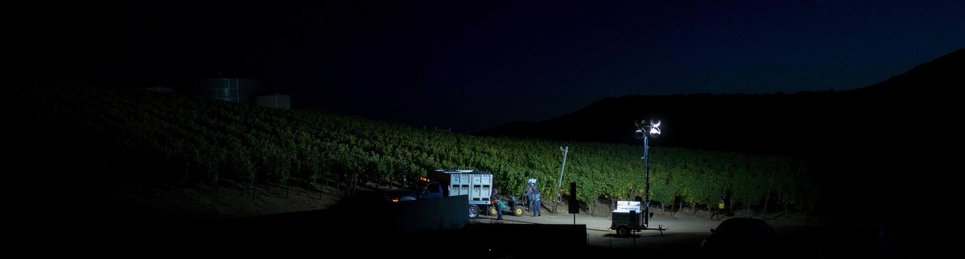 Ritchie Vineyard at Night