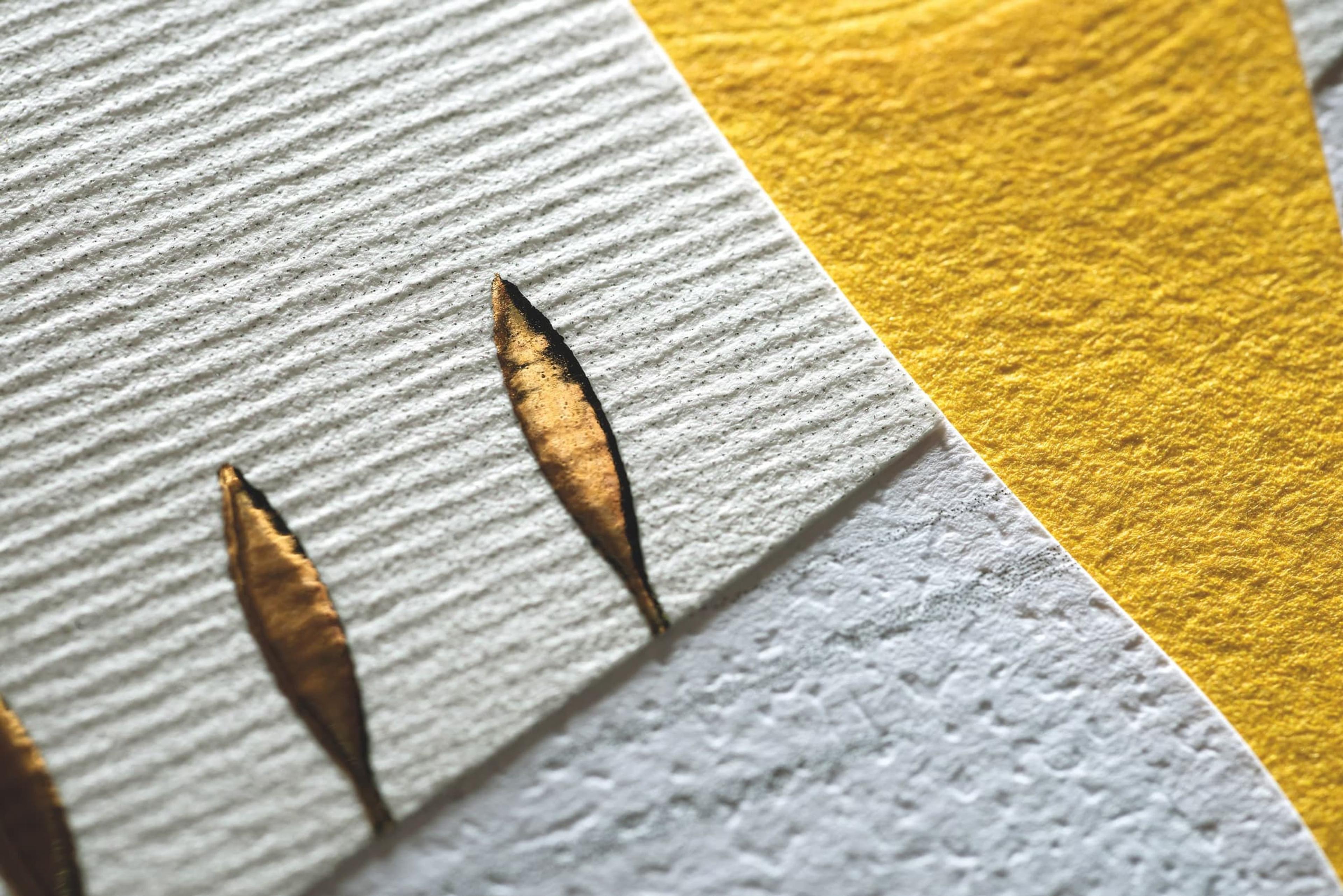 Famiglia Cecchi / Con Vista