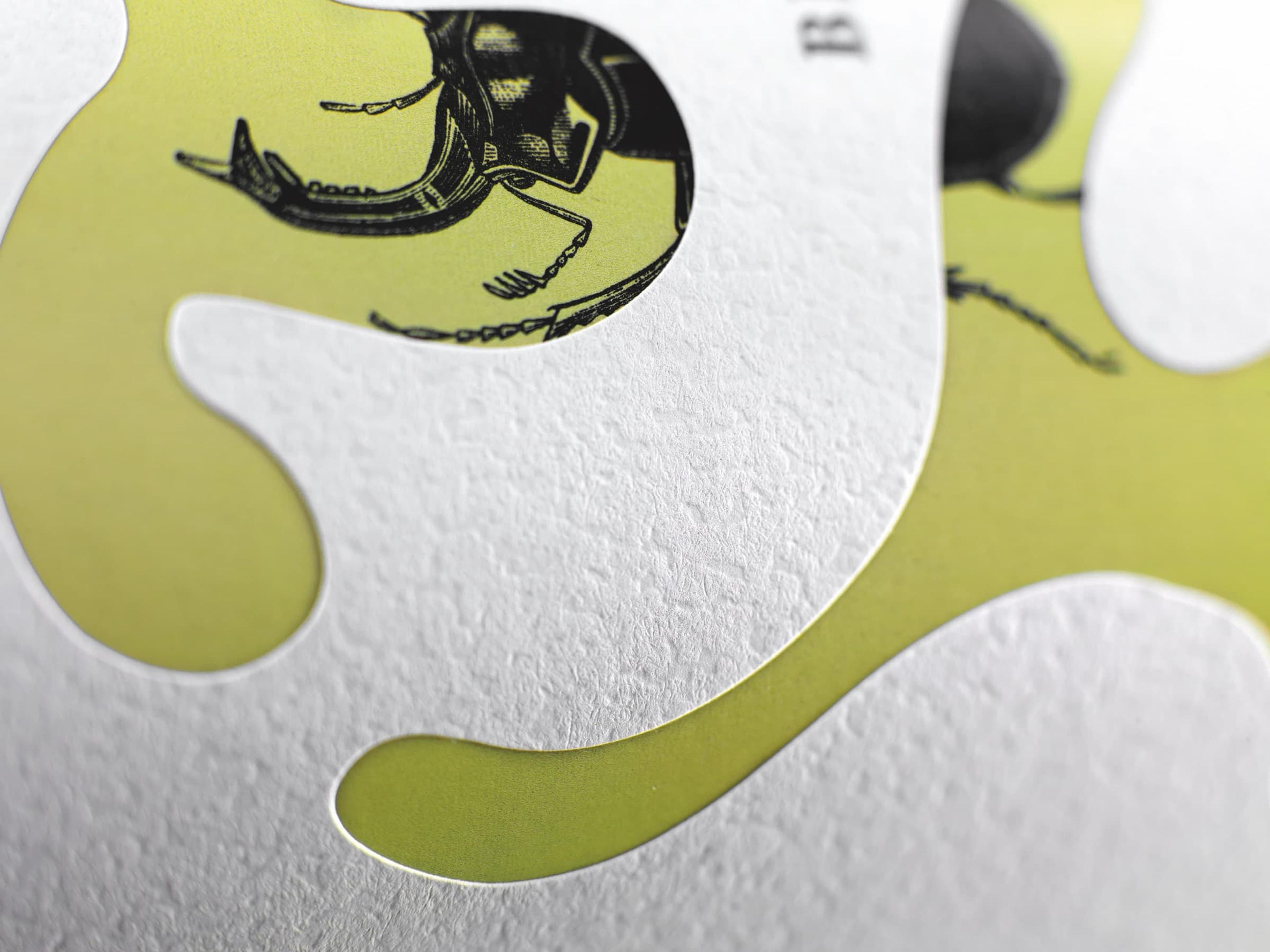 Caiaffa / Bio Insetti