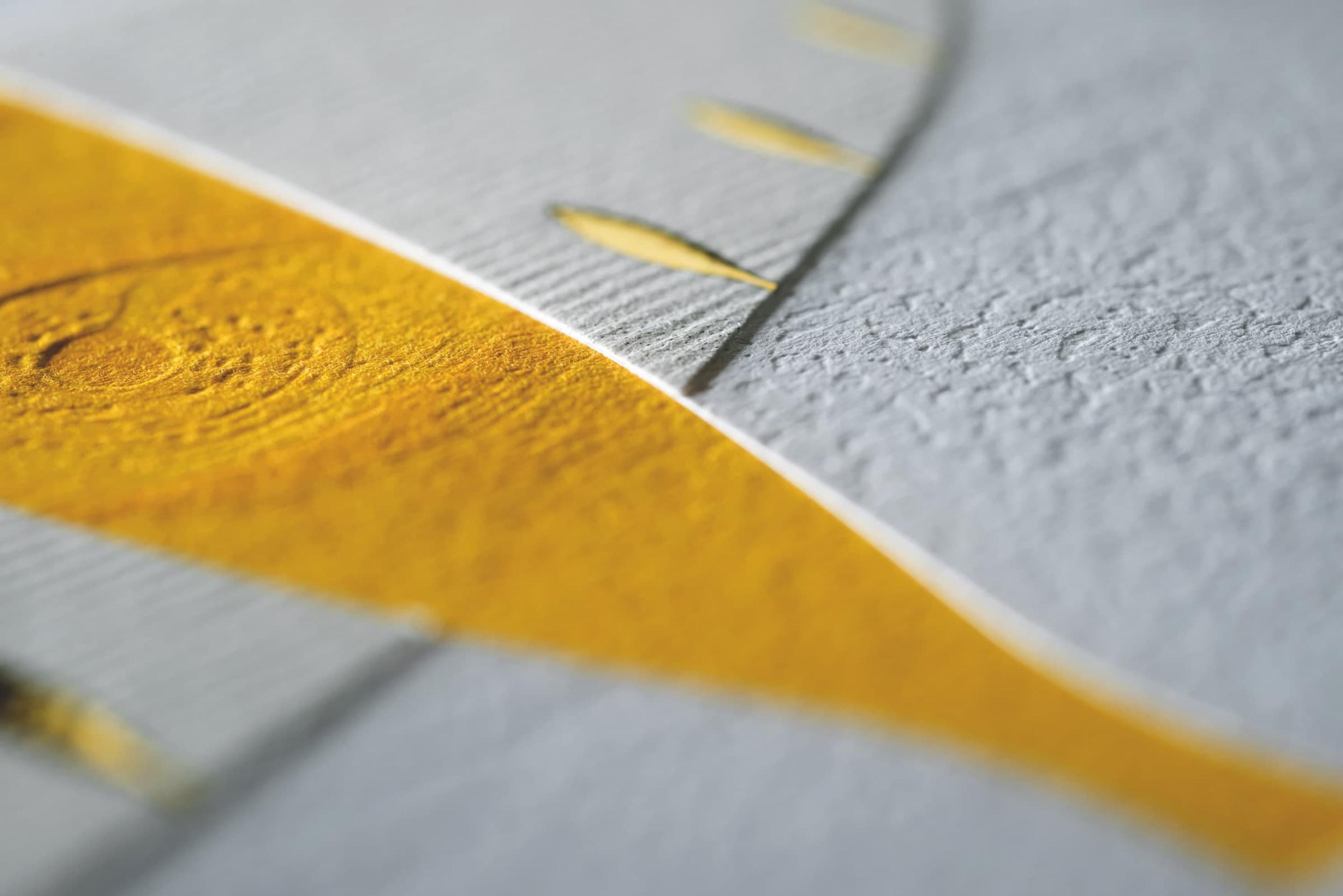 Famiglia Cecchi / Con Vista