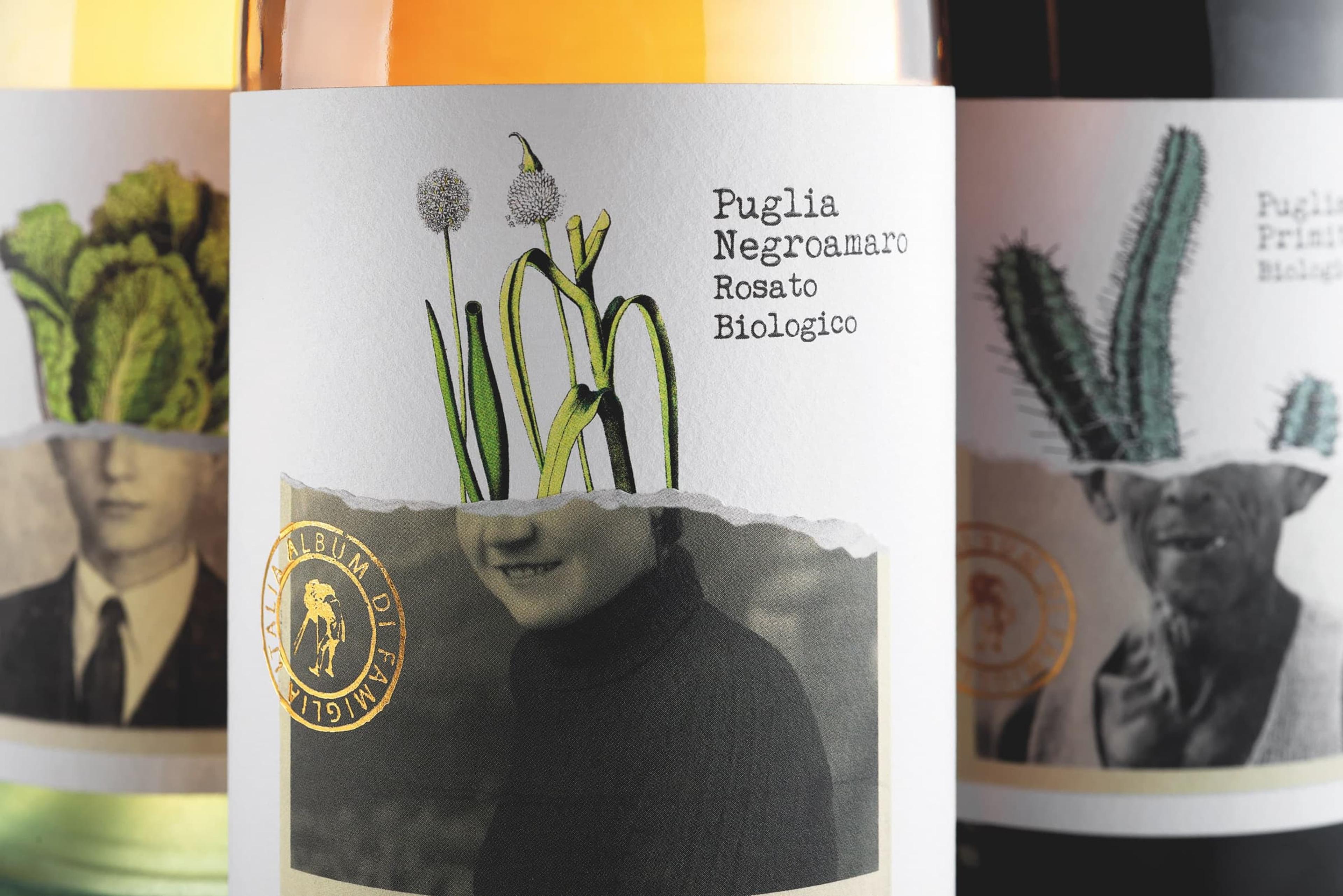 Brand Breeder / Vini Album Di Famiglia