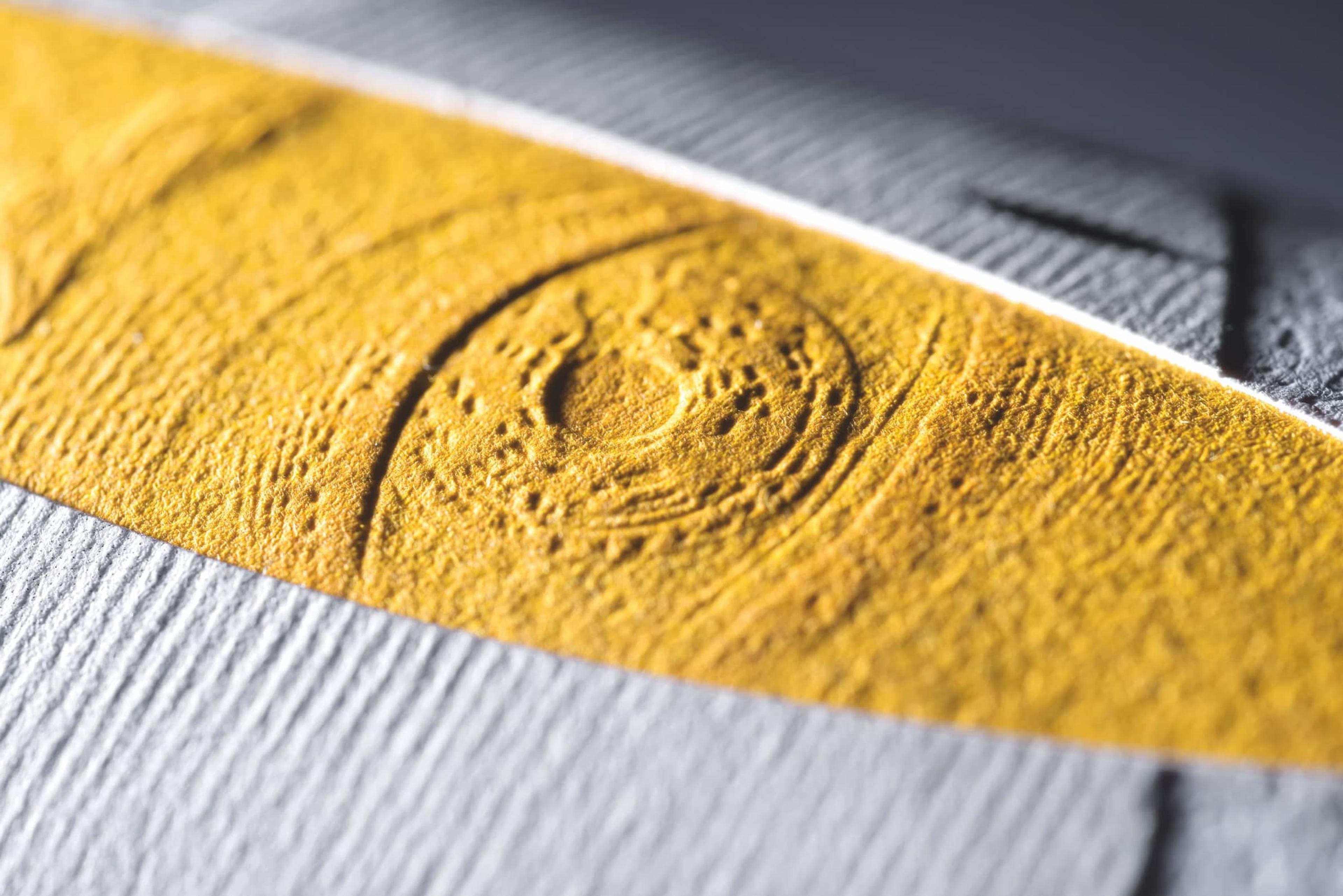 Famiglia Cecchi / Con Vista