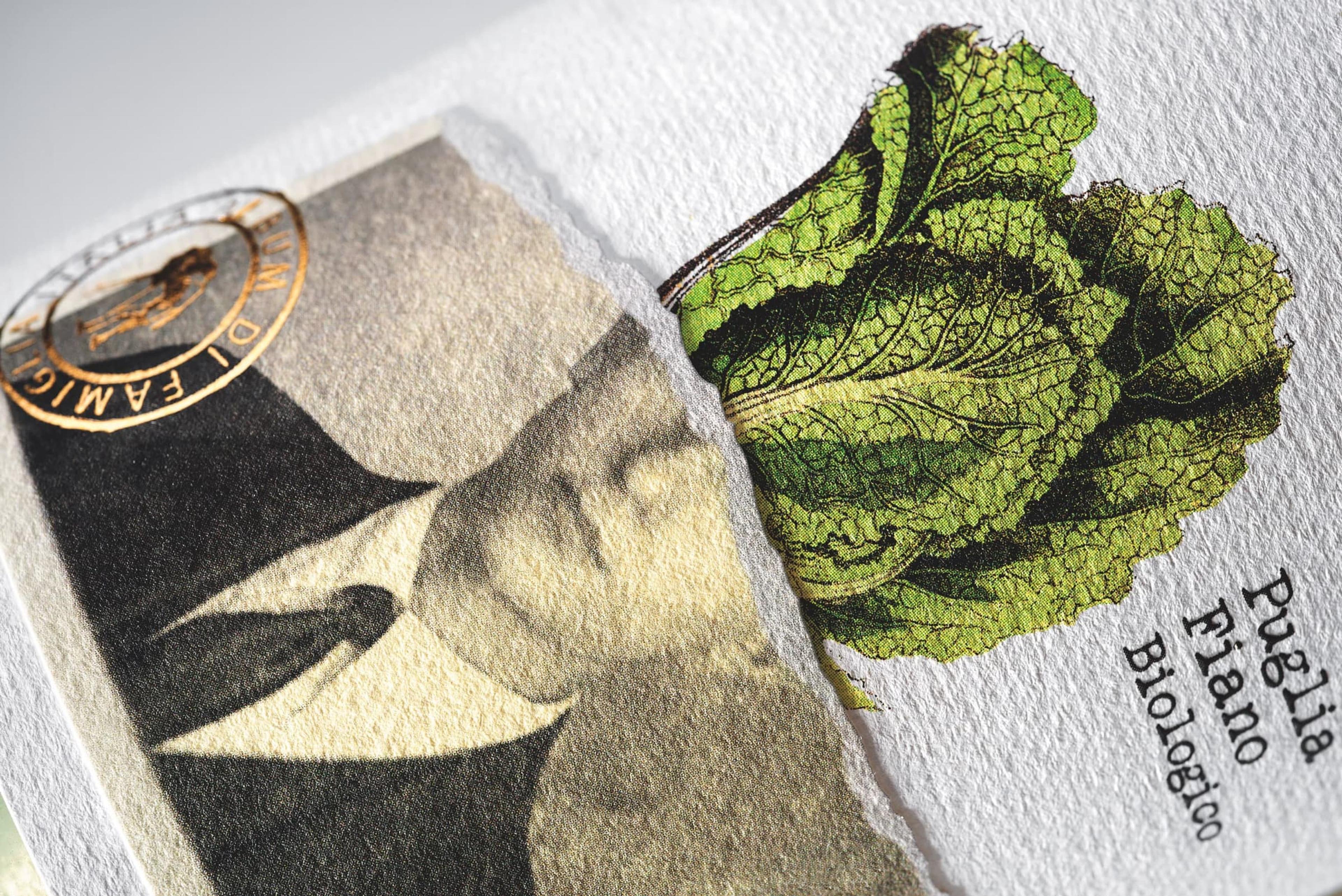 Brand Breeder / Vini Album Di Famiglia