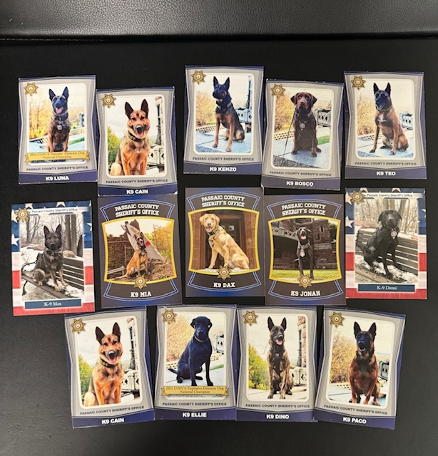 K9 Vest Donation All Dogs Graphic