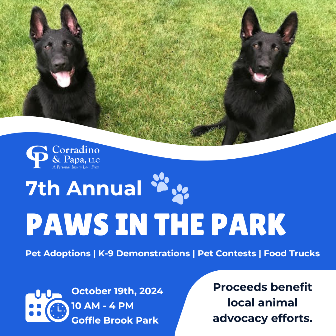 Image Corradino Paws in the Park Sponsor Flyer