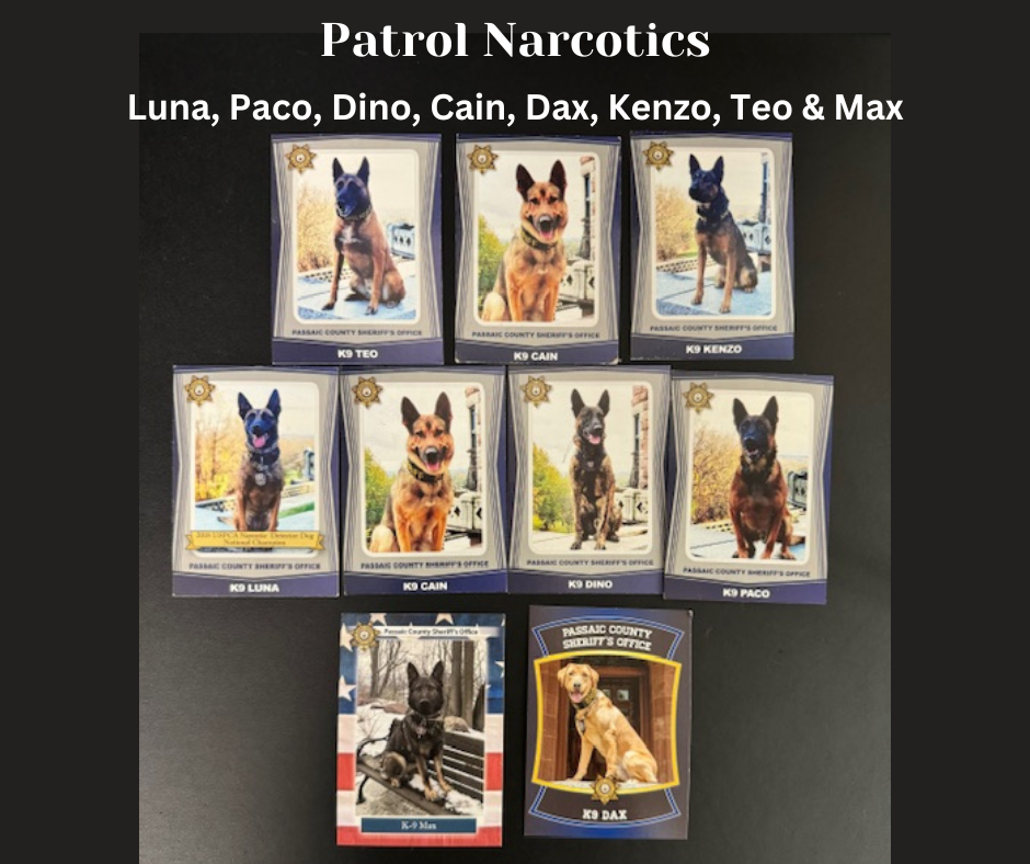 Image K9 Vest Donation Patrol Narcotics Dog Graphic