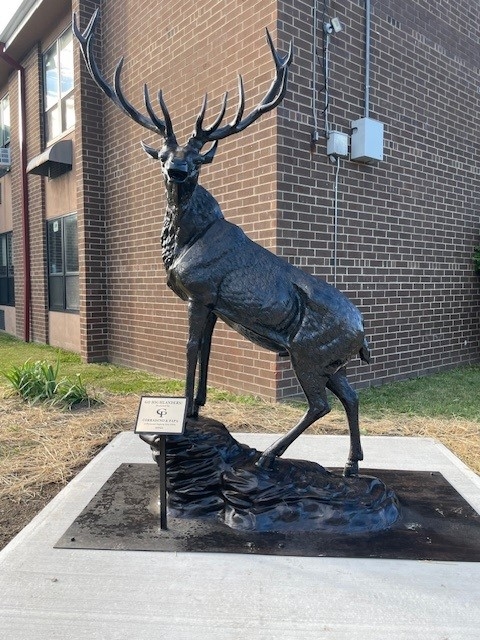 Image Corradino School Mascot Deer Donation Close-up