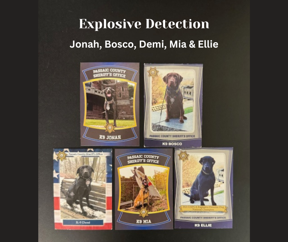 Image K9 Unit Vest Donation Explosive Detection Dog Graphic