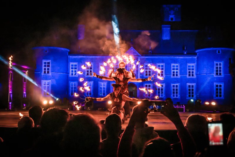 Vuurshow op een bedrijfsfeest met publiek