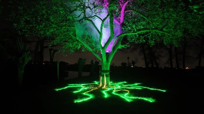 Tree of Life, boom met LED-draden als levend organisme