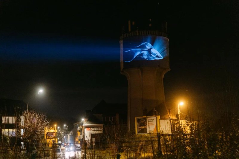 Projectie mapping sfeerbeeld 8