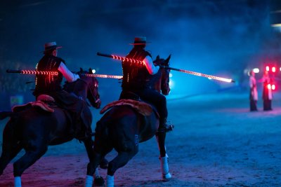 Meraki paarden lichtshow met LED effecten