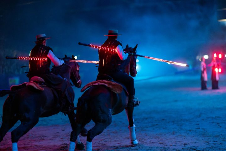 Meraki paarden lichtshow met LED effecten