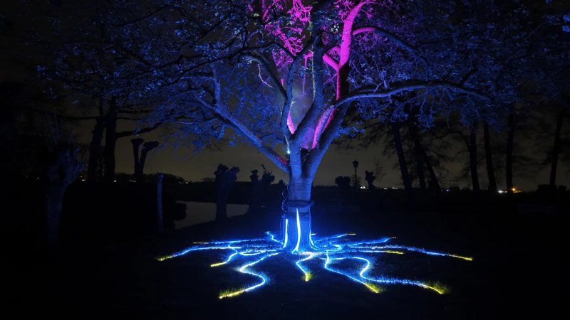 Tree of Life sfeerbeeld 3