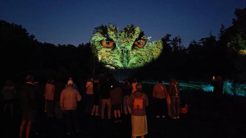 Projectie mapping sfeerbeeld 9