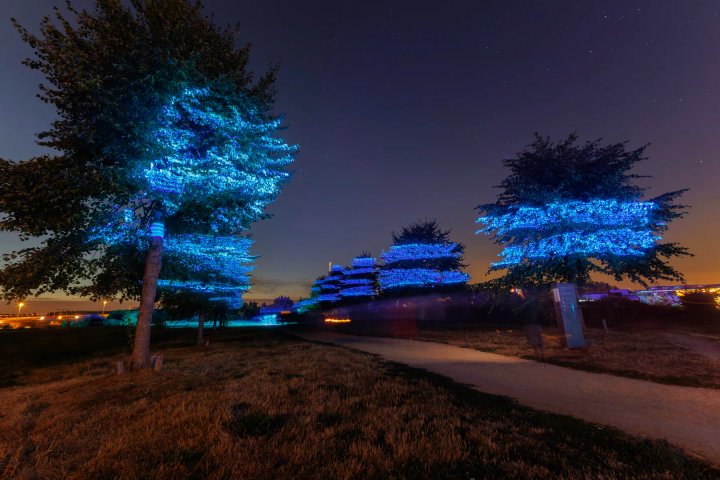 Verlichte bomen op de archeologische site