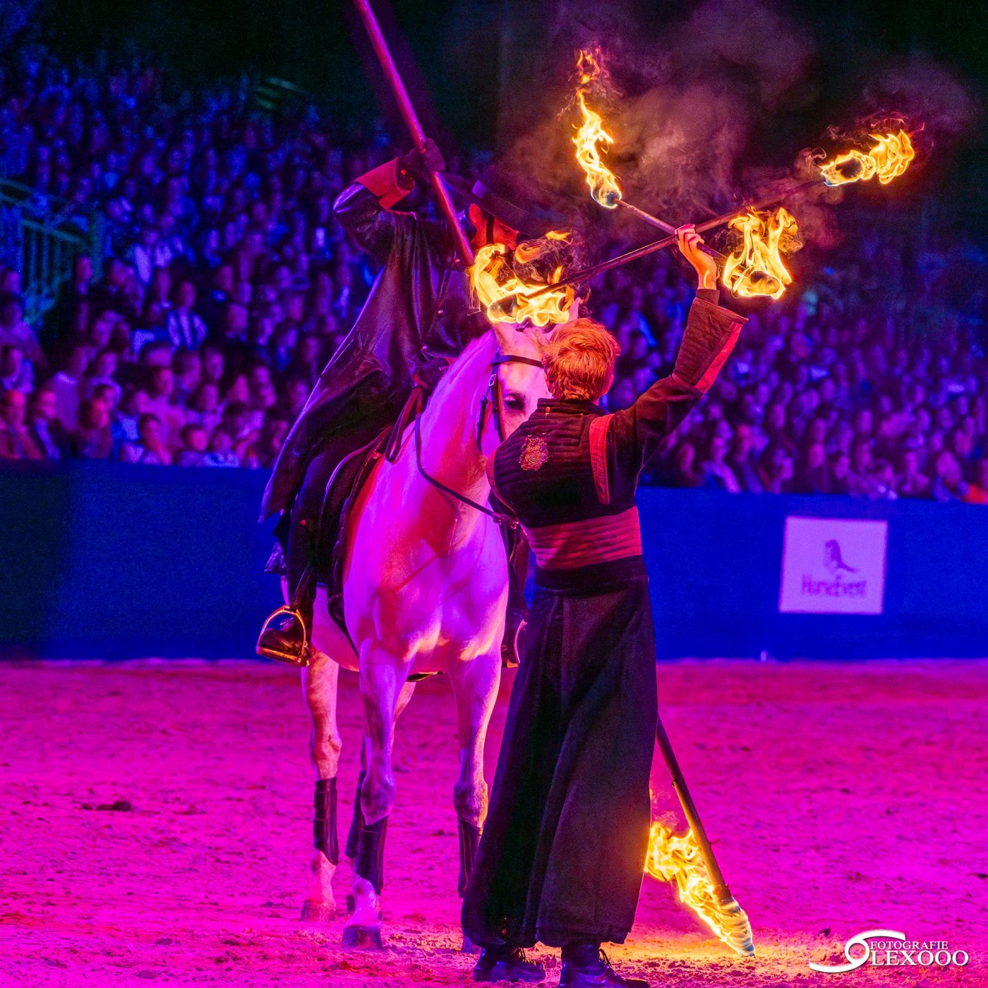 Meraki horse and fire show at Horse Event Superstars
