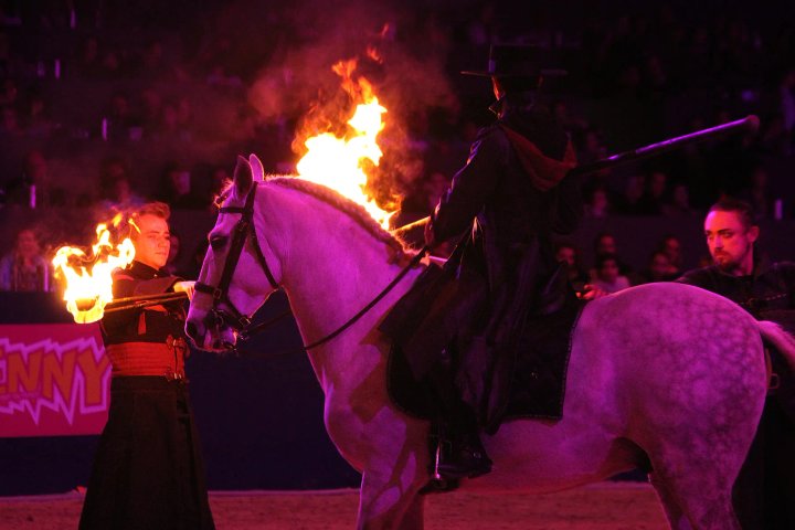 Horse Event Superstars atmosphere 16