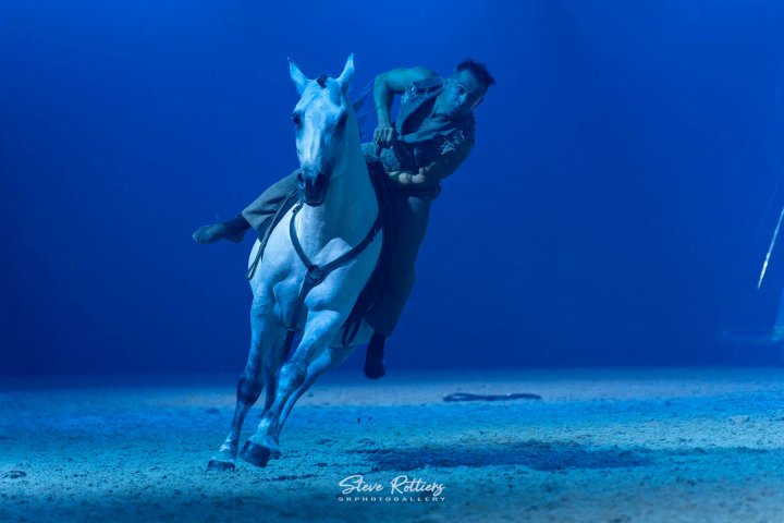 Trickrider springt naast een galopperend wit paard