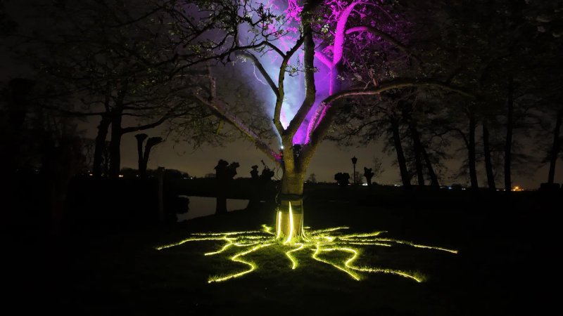 Tree of Life sfeerbeeld 2